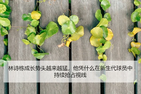 林诗栋成长势头越来越猛，他凭什么在新生代球员中持续抢占视线